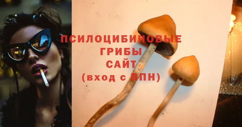 Псилоцибиновые грибы Magic Shrooms  Электрогорск 